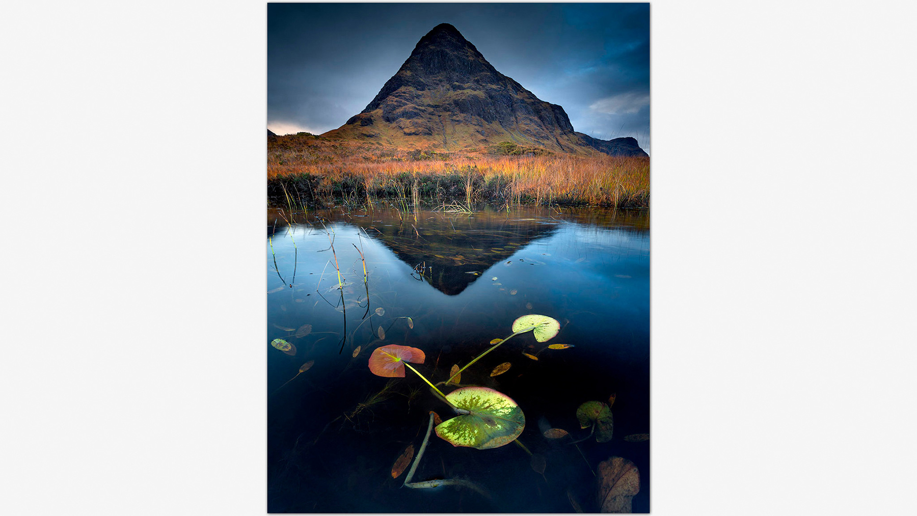Lily pads in a lochan and Buachaille Etive Beag mountain