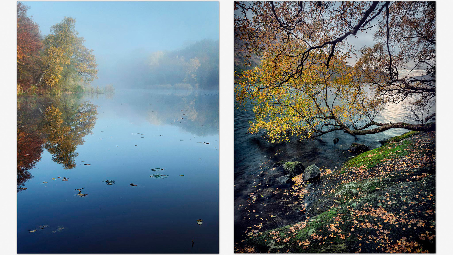 Two images, one of mist over a lake in Epping Forest and one of Loch Lomond in the autumn